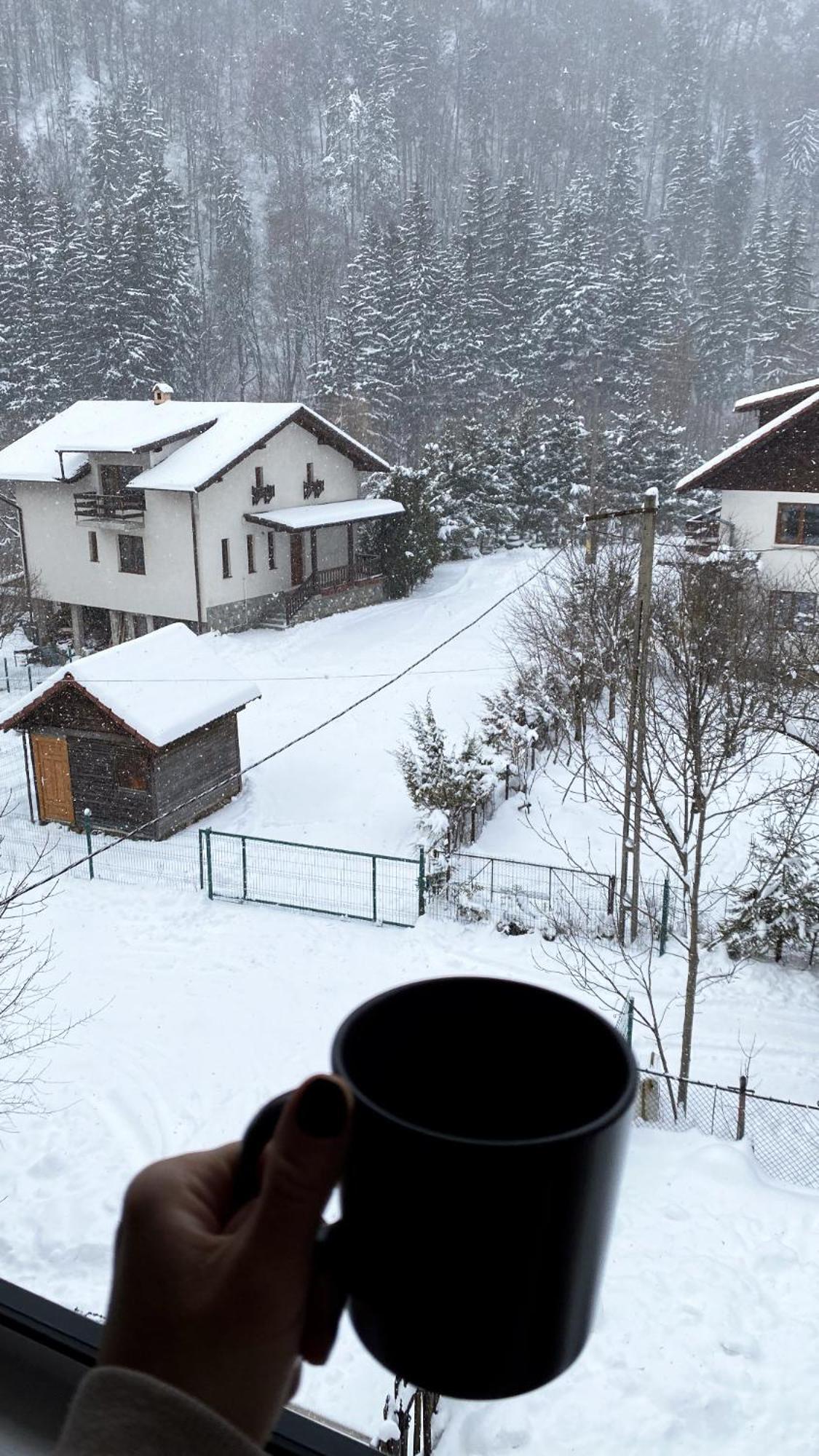 Queen'S Heart Guesthouse Bran  Esterno foto