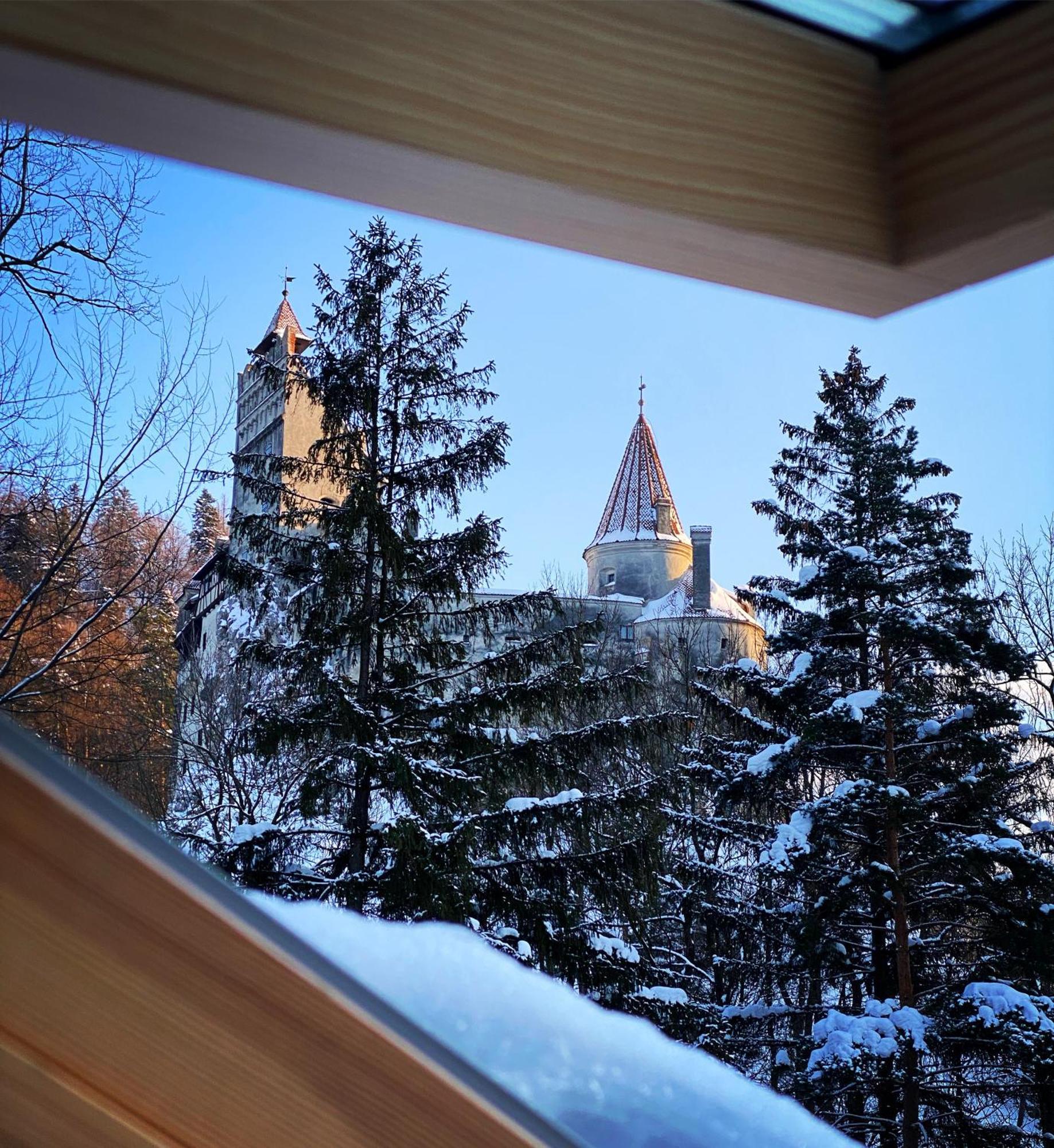Queen'S Heart Guesthouse Bran  Esterno foto