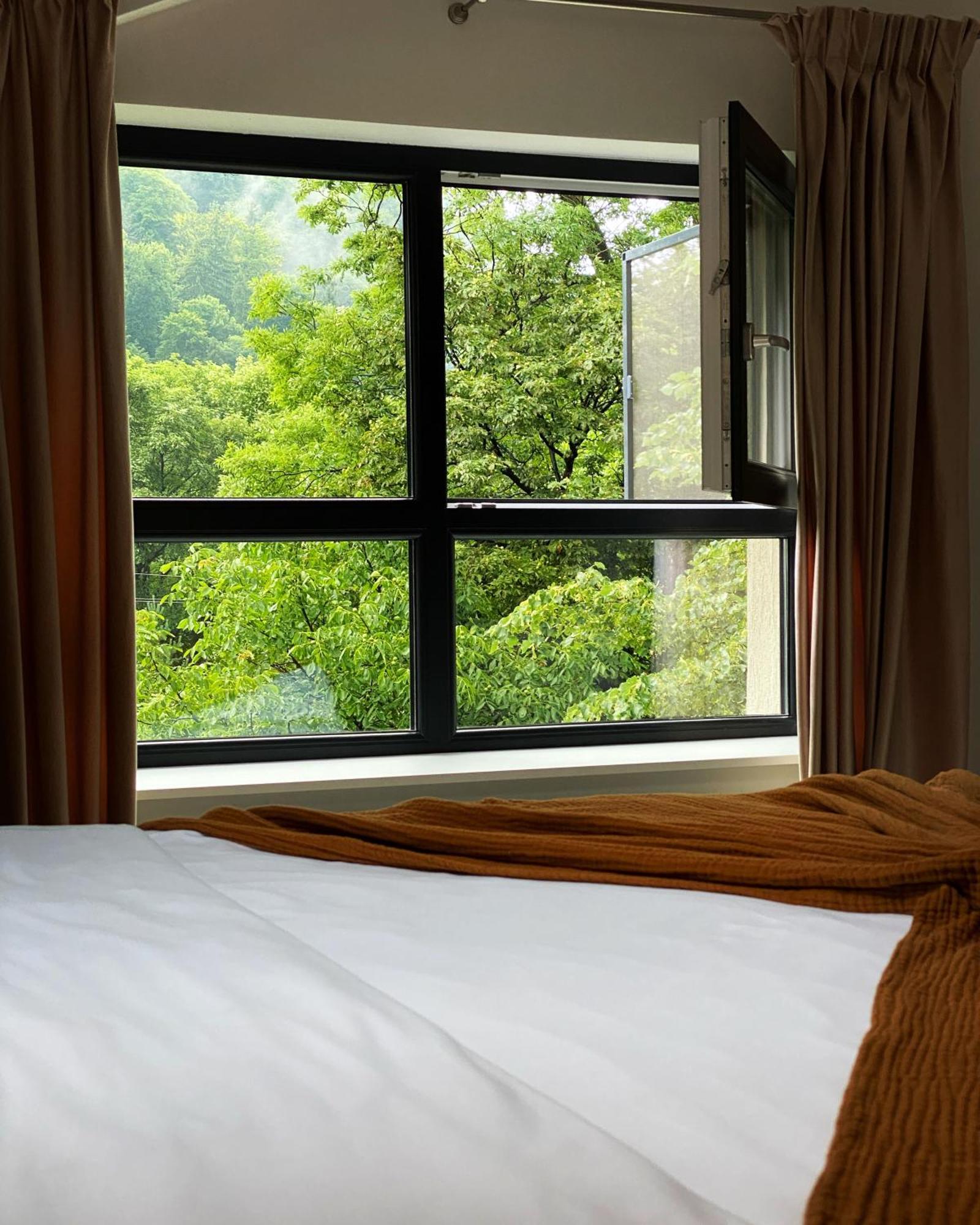 Queen'S Heart Guesthouse Bran  Esterno foto